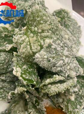 香酥翠叶油炸机 桑叶裹浆油炸生产线 桑叶深加工全套设备厂家