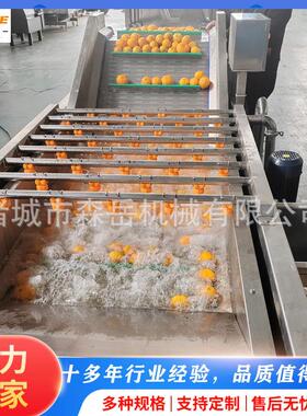 瓜果蔬菜气泡清洗机304不锈钢诸城工厂直供净菜加工清洗流水线