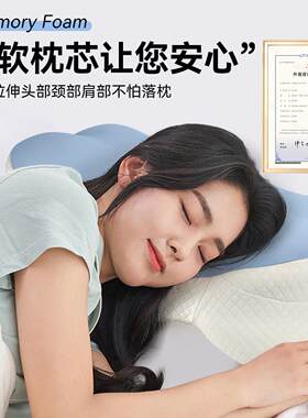 广州真源LS-1276头厂记忆枕慢回弹云朵枕记忆枕头颈护工枕空压缩