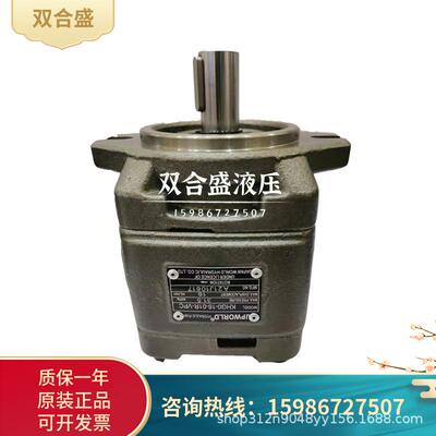 海特克HYTEK齿轮泵HG0/HG2/HG1/HG10/HG11/HG21/HG22-01R高压泵