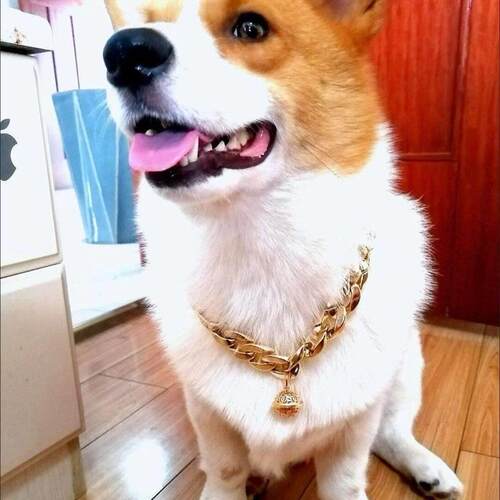 带铃铛宠物项链法斗泰迪狗狗大链子装饰中小型犬猫多色脖项圈