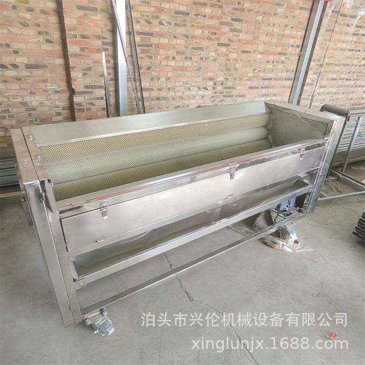 中药材清洗设备毛辊干洗机大枣清洗机干湿两用