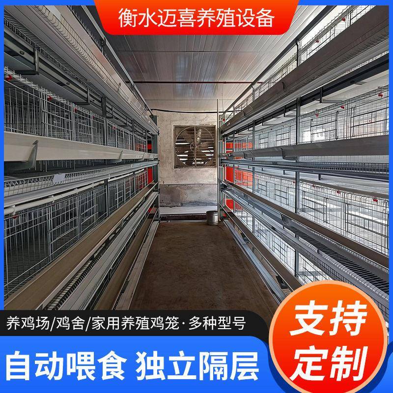 农场养鸡笼子自动化喂料供水立体镀锌鸡舍家用养殖捡蛋清粪设备