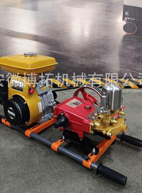 CE2200汽油款喷雾机手推式高压打药机担架式高射程园林喷雾器罗宾