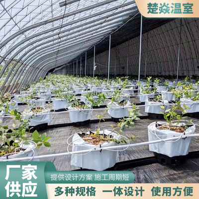 荷兰桶厂家供应大棚无土栽培设施水耕基质蔬菜瓜果塑料种植荷兰桶
