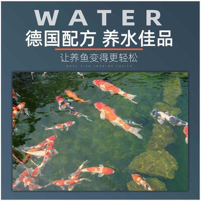 大禹德邦硝化细菌硝化菌净水剂水质稳定剂鱼缸用养鱼清澈鱼池绿水