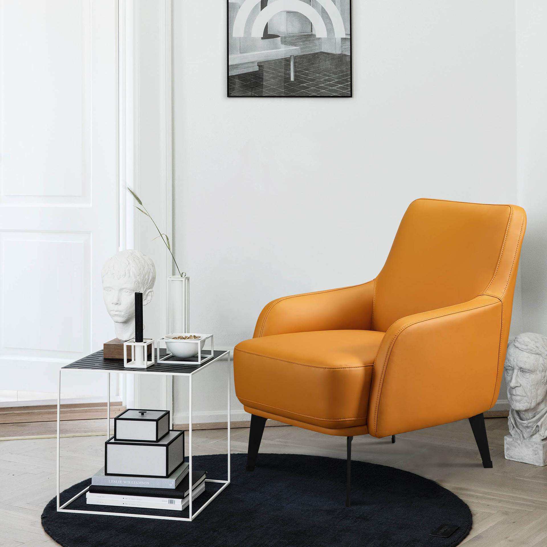 意式单人沙发椅简约现代北欧皮质轻奢老虎椅懒人小户型休闲椅