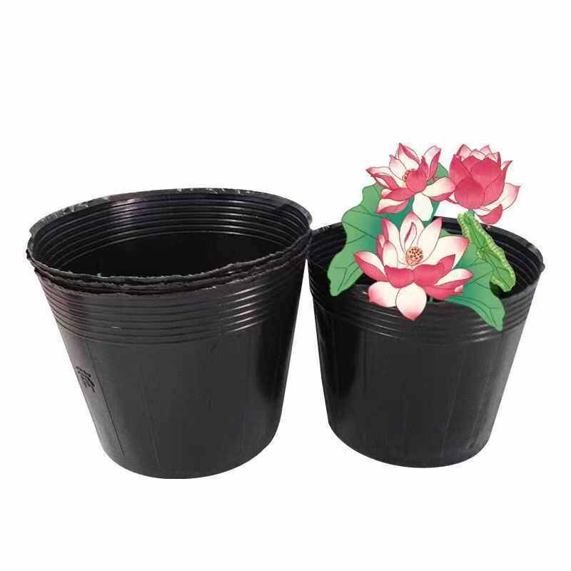 厂家批发塑料荷花盆加厚无孔防老化营养袋睡莲多肉营养钵育苗盆,鲜花速递/花卉仿真/绿植园艺,花架,淘宝优惠券,粉丝福利购,淘宝优惠卷