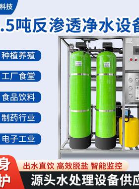0.5吨反渗透设备超滤设备纯水去离子工业ro水处理直饮水过滤设备