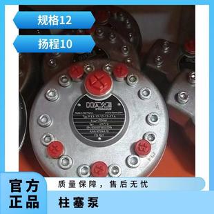 064R I43 W35 300柱塞泵 液压德国HAWE Z1M 哈威SCP