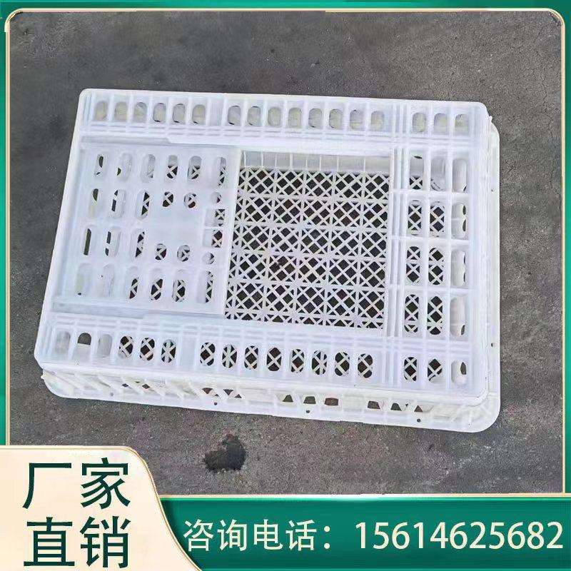活鸡周转筐 热销装鸡塑料运输筐 淘汰鸡运输周转筐 家禽运输筐