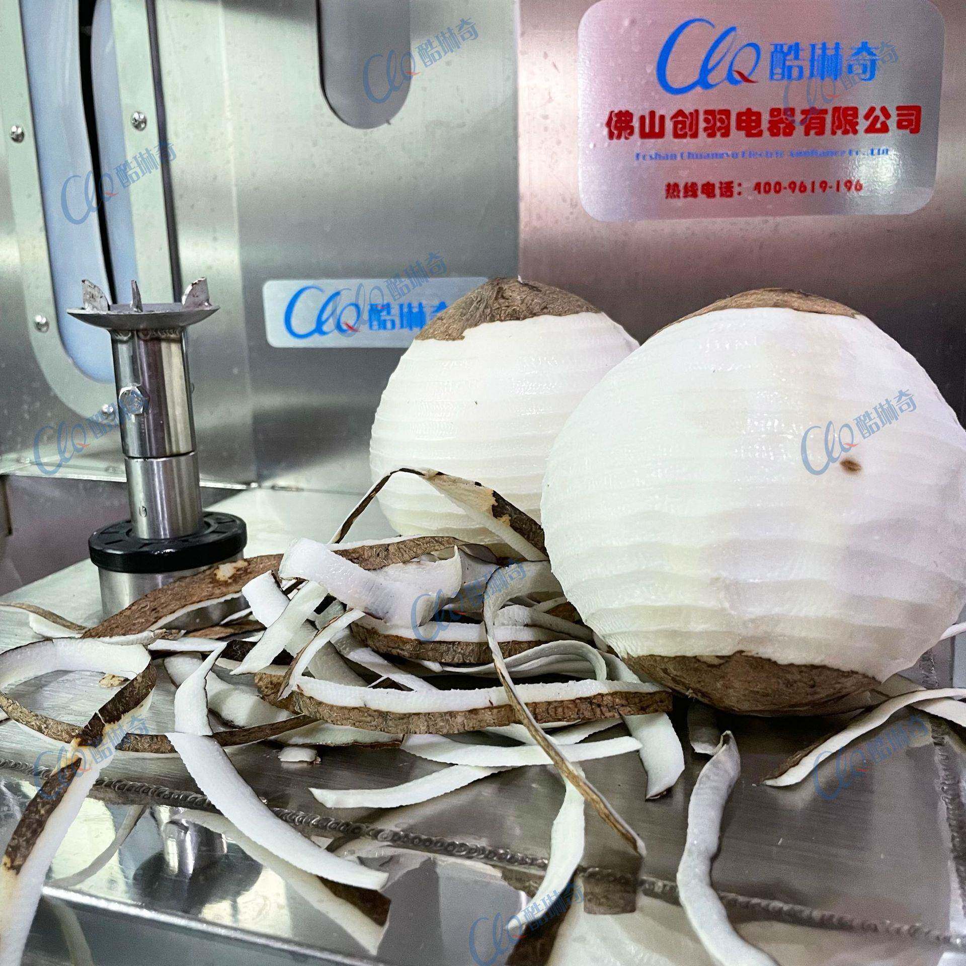 椰子肉黑膜刨皮机电动食品净菜南瓜削皮去皮清洗切丁生产线设备
