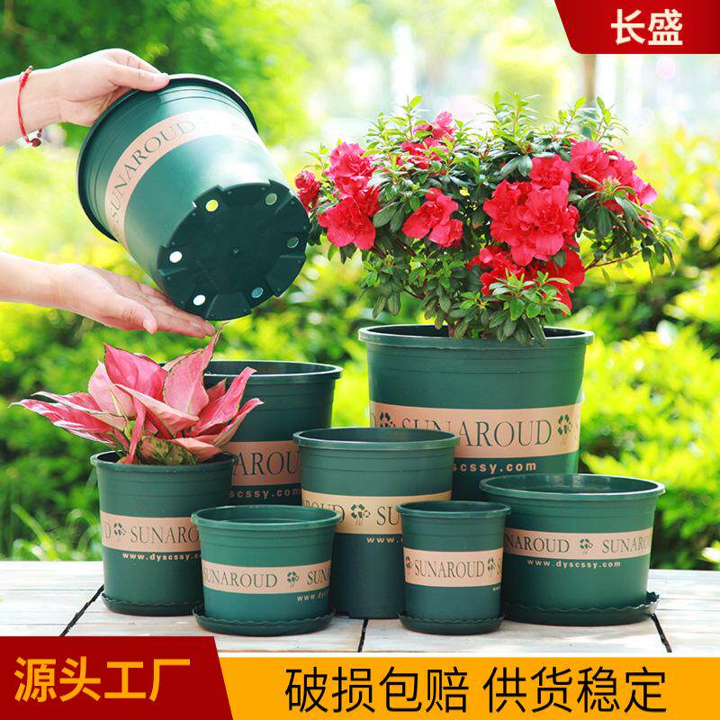 加仑花盆家用阳台塑料树脂多肉小绿萝大加仑盆月季盆栽绿植盆矮款 - 实物图