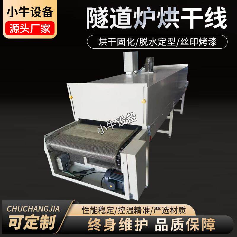 厂家供应隧道式烘干线烘道流水线 网带皮带式流水线 铁佛龙烤漆线