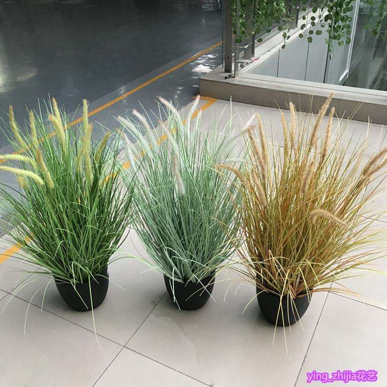 仿真狗尾巴草芦苇草绿植物影楼干花水草橱窗绢花装饰拍摄摆放花艺