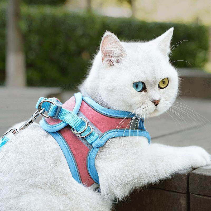 宠物生活用品狗狗牵引绳遛狗套装宠物麂皮猫咪胸背带发夜光牵引带