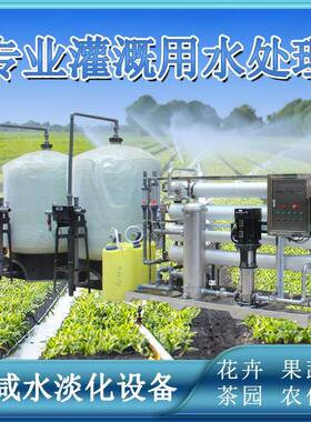 12吨农业灌溉反渗透纯水处理水稻小麦苦咸水淡化水处理反渗透设备