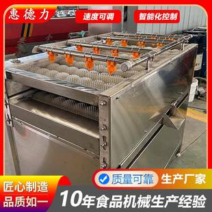 粽叶不锈钢清洗设备 毛刷清洗机 高粱杆全自动清洗机器 甘蔗连续式