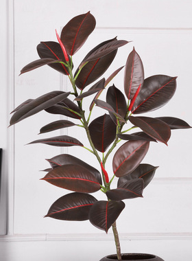 仿树真橡皮树叶3叉仿真树枝 热带真XY-54007仿绿植假叶橡皮树树叶