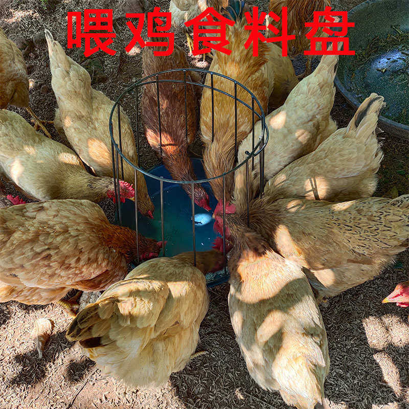 分隔式鸡鸭鹅养殖饲料采食槽养鸡场喂料食料盘防狗偷吃畜牧塑料
