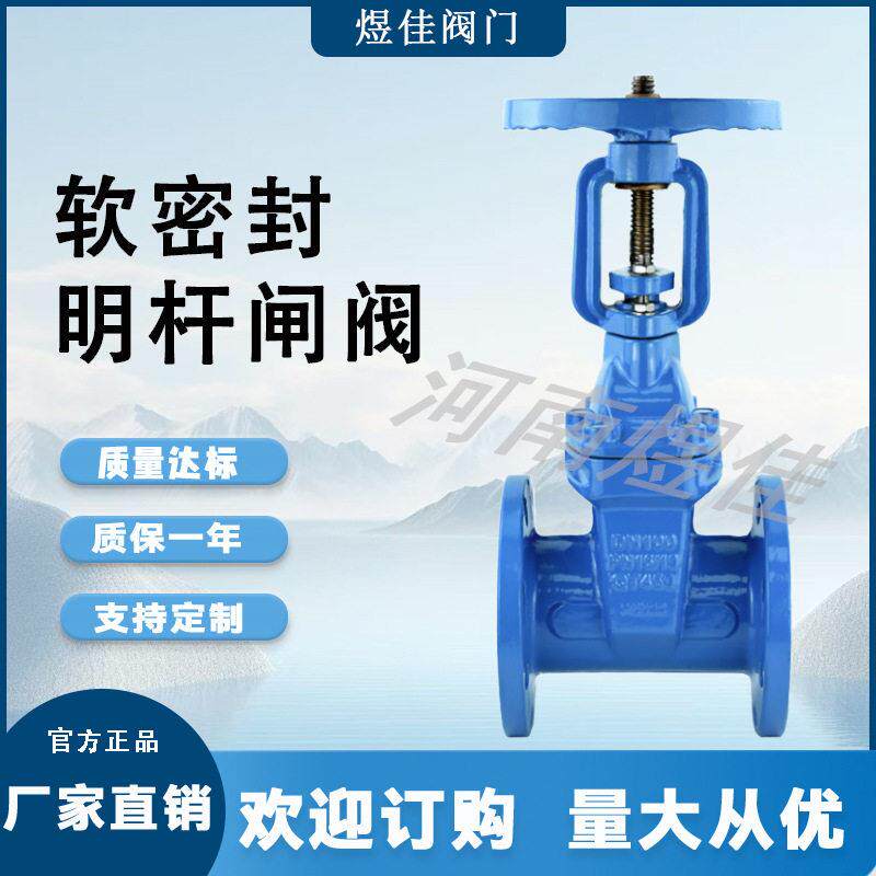 Z41X-16Q弹性座封闸板板阀水系统阀门球墨铸铁材质软密封明杆闸阀
