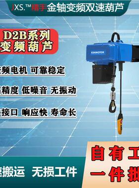 金轴D2系列变频双速提升机环链葫芦平衡起吊车间重型起重机电动