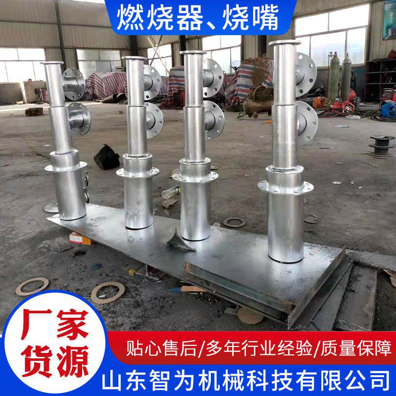 燃烧器、烧嘴天然气窑炉自动控温点火低氮熔炉用燃烧器烧嘴
