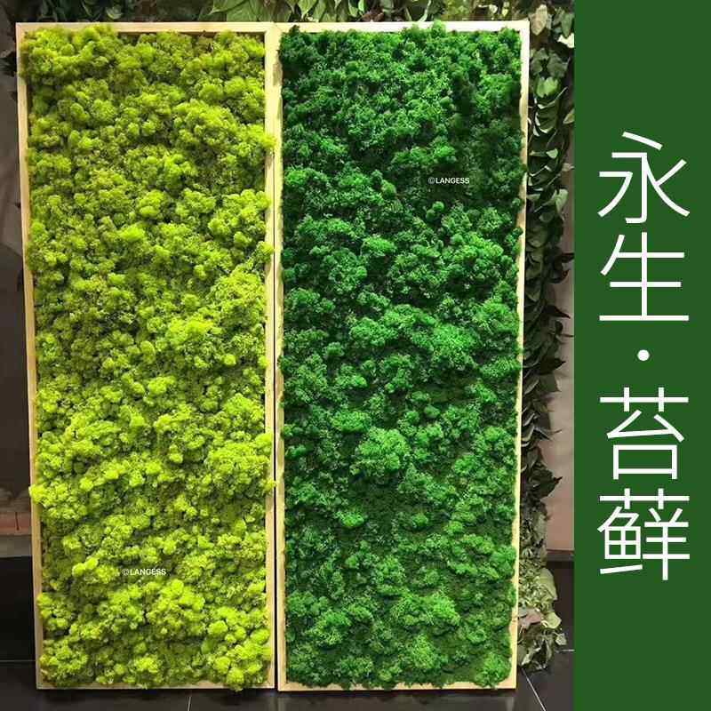 永生苔藓真苔藓婚庆家居工程造景仿真绿植仿真植物仿真花