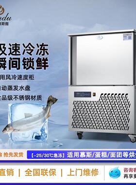 速冻柜商用海参冰柜海鲜生胚包子速冻机零下-45/-80度急冻柜厂家
