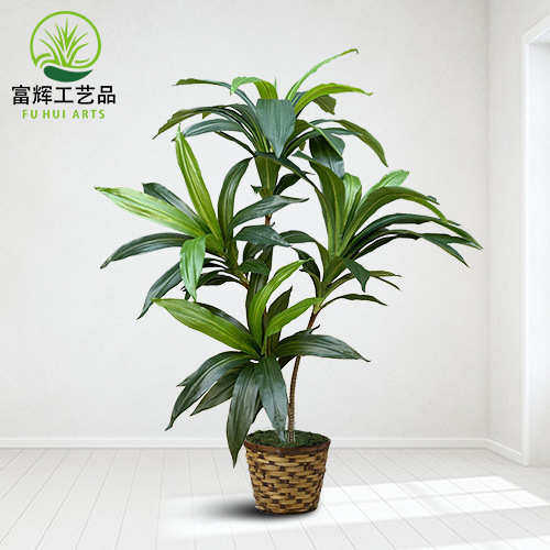 巴西铁仿真高端绿植盆栽家居装扮假植物工程造景细杆巴西木厂家批