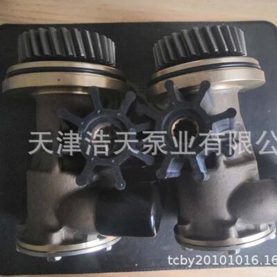 橡胶叶轮挠性泵4255412 425-5412 海水污水 废水 清水 柴油挠性泵
