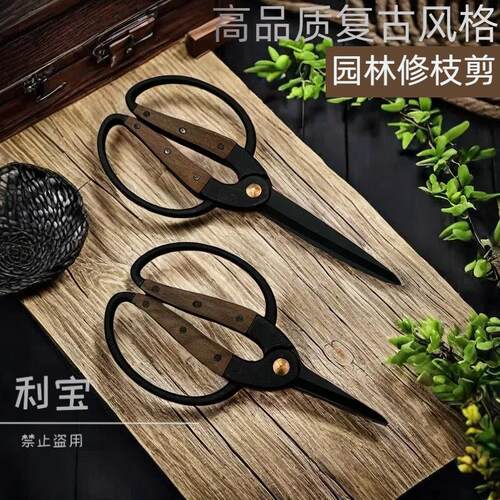 法兰剪园林家用花园剪刀不锈钢修剪盆栽树枝剪鲜花园艺剪花工具剪