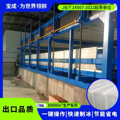 宝成江苏制冰设备-冰砖机条冰机直冷式块冰机保鲜运输块冰机