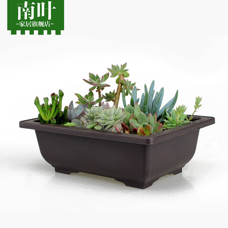 正方形长方形紫砂紫砂PP塑料花瓶