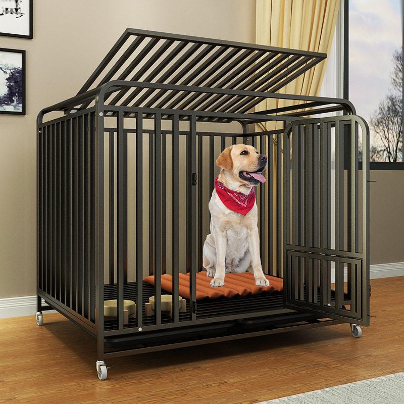 TG笼子大型犬中型犬狗笼金毛萨摩耶边牧拉布拉多室内全管大型狗笼