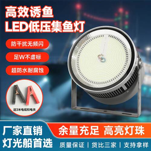 工厂LED低压集鱼灯功率300W青光白光出海夜钓户外露营照明灯具