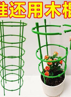 花架子室内家用支架通用型蟹爪兰花架莲花护叶架园艺盆栽支撑杆