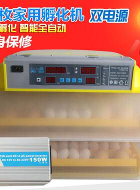 厂家直供出口110V48枚96枚112枚孵化机孵化箱伊科贝特孵化器
