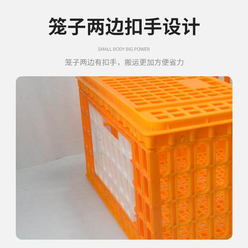 特鸡用周转箱运鸡笼加强型大成输鸡鸭WSQ鹅兔运鸽输笼筐成鸡笼塑
