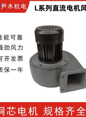 L型直流电机风机离心风机L-08L-09L-05L-06L-064散热风机