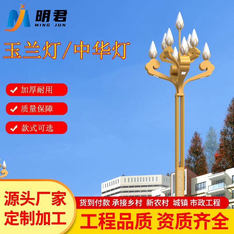 中华灯玉兰灯市政道路照明庭院景观LED户外工程广场市电路灯厂家