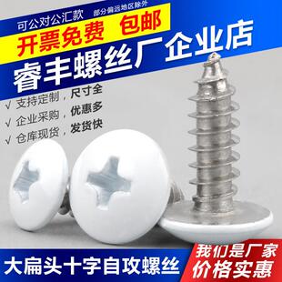 ST5 白色十字槽大扁头自攻螺丝304不锈钢白色伞头蘑菇头自攻钉ST3