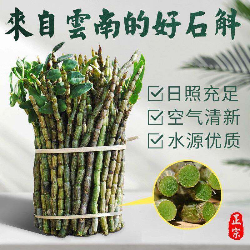 正品云南铁皮石斛石斛鲜条500g当天采摘基地直销