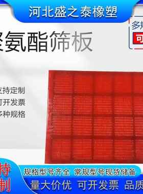分聚酯筛板级筛网震振氨动筛聚氨酯方孔筛00214板矿石动筛网