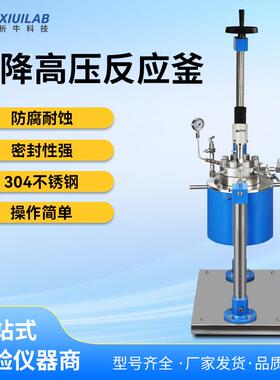 科技升降高压反应釜不锈钢机械搅拌1L100L实验室高温氢化釜