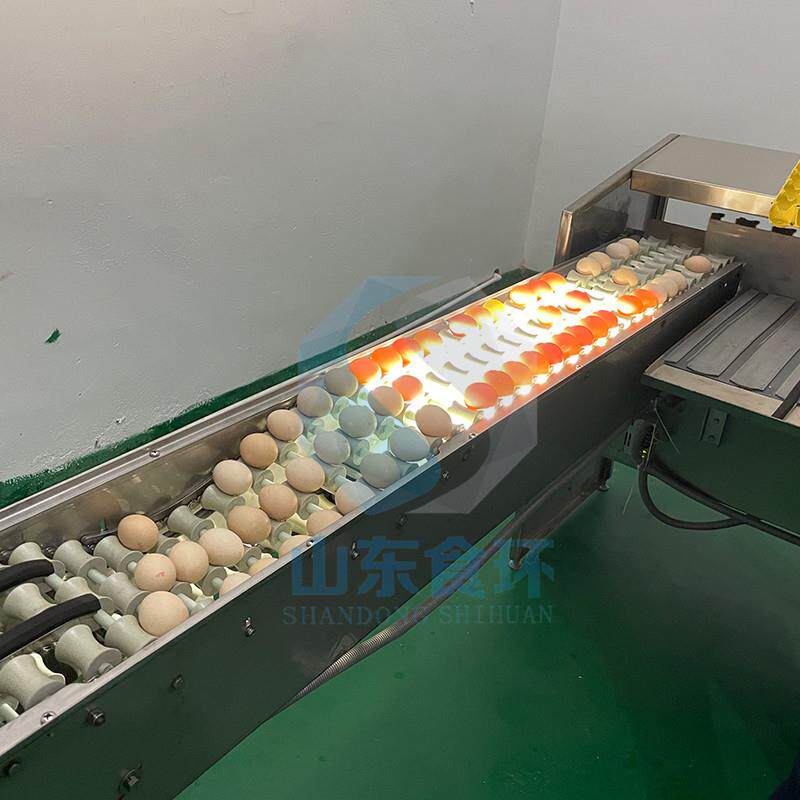 不锈钢裂鸭蛋分拣机蛋视觉MRD纹蛋测蛋子重量分检级蛋品分选电机