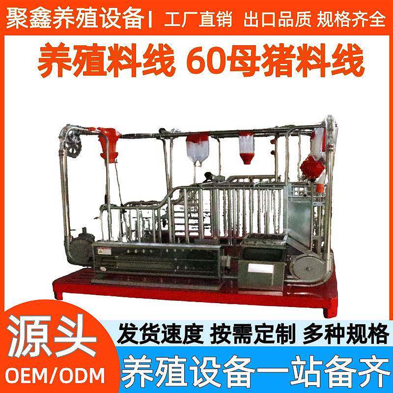 养殖料塔猪场设备镀锌料塔料线全自动喂猪料线自动料线蛟龙料线