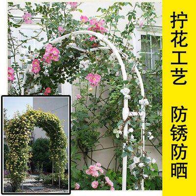 花园植物拱门花架庭院铁艺户外不锈钢半拱门月季铁线莲攀爬藤支架图片