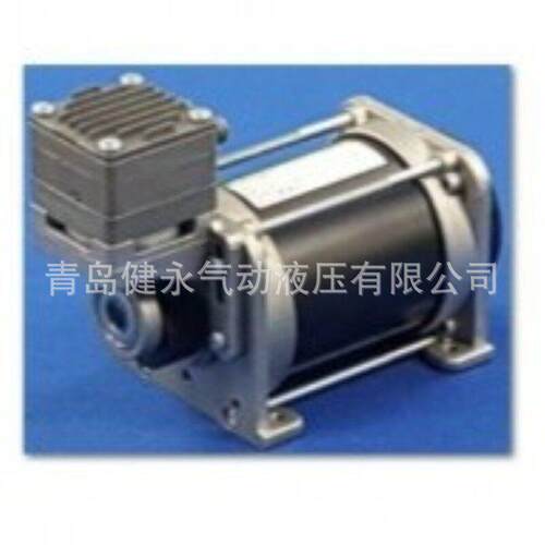 G&M Tech 无油活塞泵 DC直流驱动 10RNS-BD1/BD2全系列