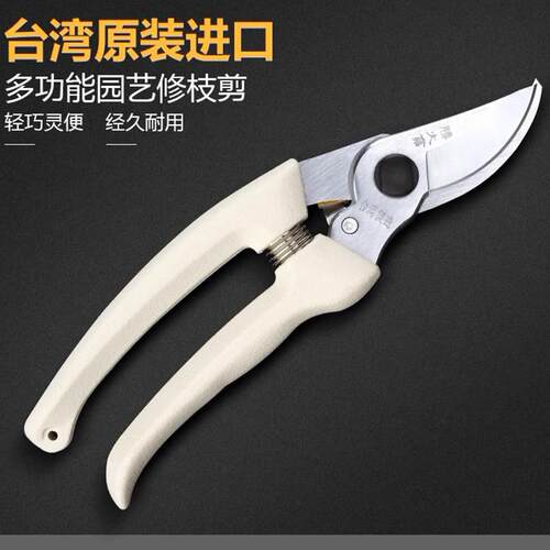 胜大业剪枝果树修枝剪园艺修剪园林花艺师剪花专用剪刀